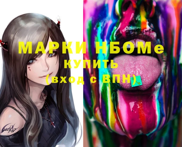 хмурый Аркадак