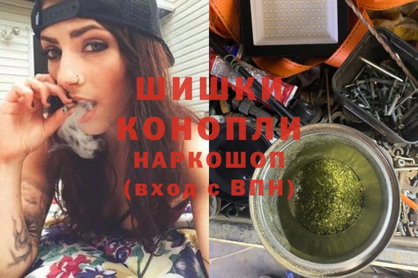 хмурый Аркадак
