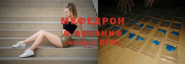 хмурый Аркадак