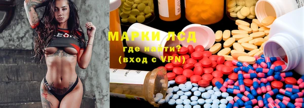 сатива Алзамай