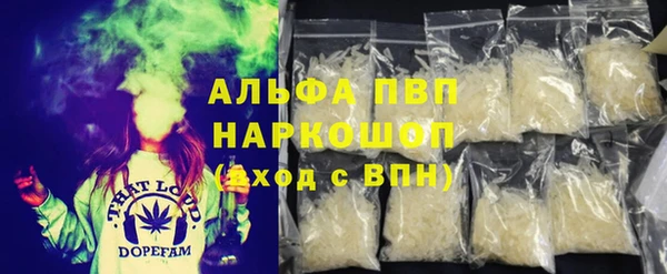 хмурый Аркадак