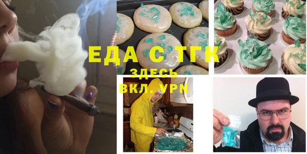 хмурый Аркадак