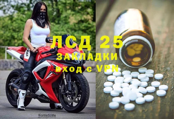 сатива Алзамай