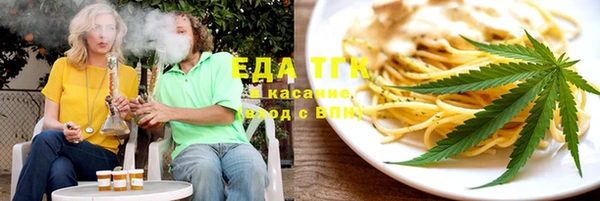 хмурый Аркадак