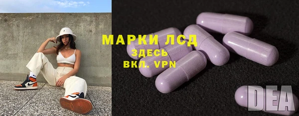 прущие грибы Алексеевка