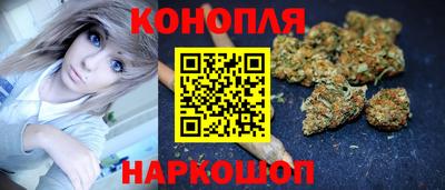 мдпв Можга