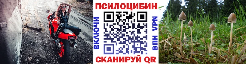 Галлюциногенные грибы MAGIC MUSHROOMS  как найти   Георгиевск 