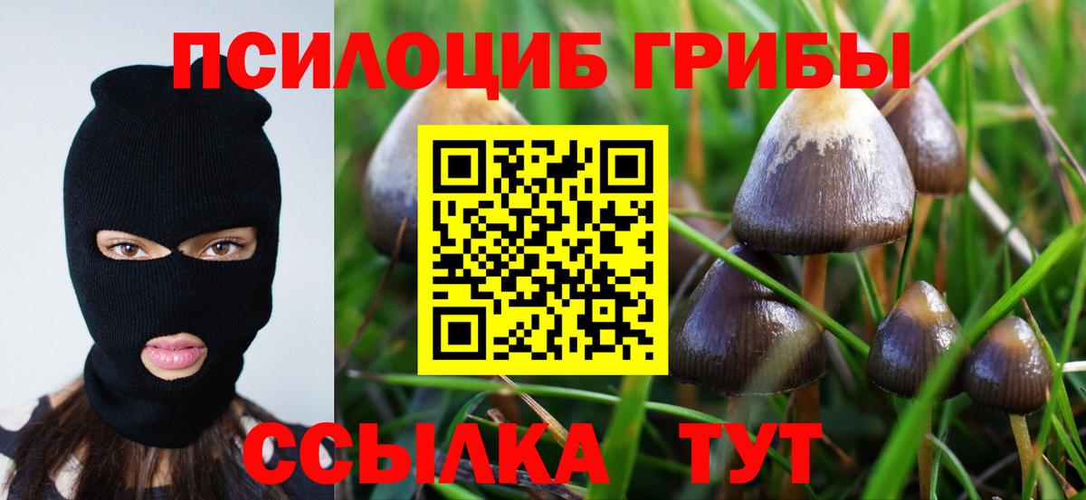 Псилоцибиновые грибы Magic Shrooms Георгиевск