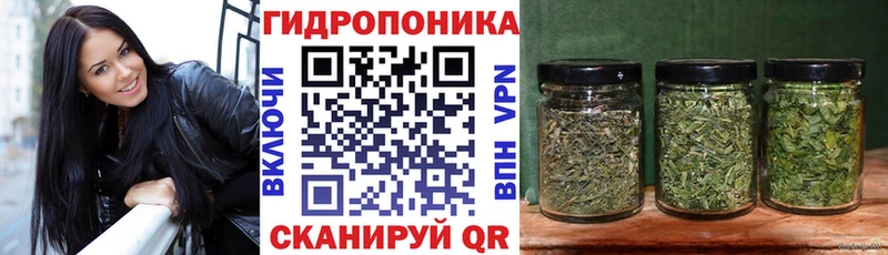 Бошки марихуана OG Kush  Георгиевск 